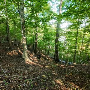 12CliftonCir_59328_14