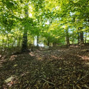 12CliftonCir_59328_16