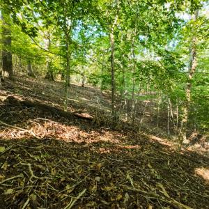 12CliftonCir_59328_17