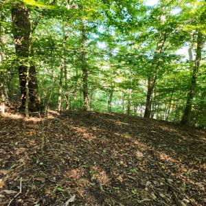 12CliftonCir_59328_19