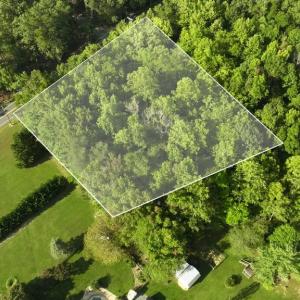 Photo #24 of 5721 HARRISON RD, FREDERICKSBURG, VA 16.2 acres