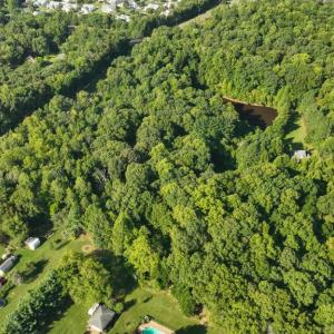 Photo #11 of 5721 HARRISON RD, FREDERICKSBURG, VA 16.2 acres