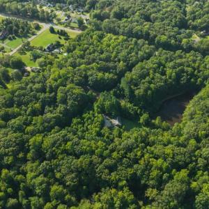 Photo #5 of 5721 HARRISON RD, FREDERICKSBURG, VA 16.2 acres