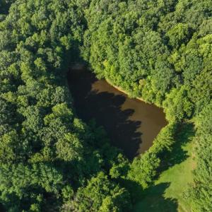Photo #10 of 5721 HARRISON RD, FREDERICKSBURG, VA 16.2 acres
