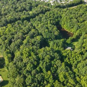 Photo #7 of 5721 HARRISON RD, FREDERICKSBURG, VA 16.2 acres