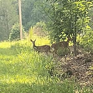 IMG_20250808_154142