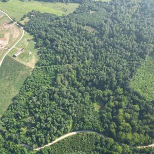 dji_fly_20250722_140332_367_175468926668
