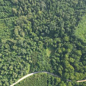 dji_fly_20250722_140422_369_175468927179