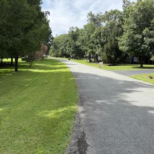 View Looking Down Woods Edge Dr