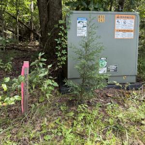 Corner Marker Woods Edge