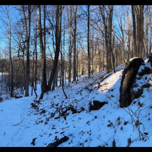 Photo in Lakemount lot - Google Photos