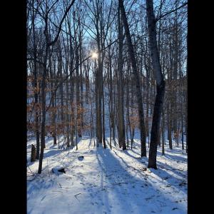 Lakemount lot - Google Photos