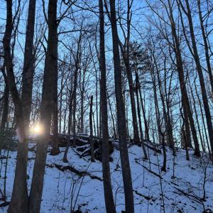 Photo in Lakemount lot - Google Photos