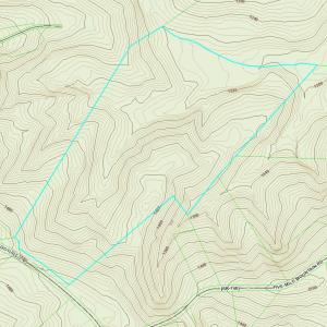 Screenshot 2025-08-18 at 10.56.04AM