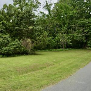 Road Front