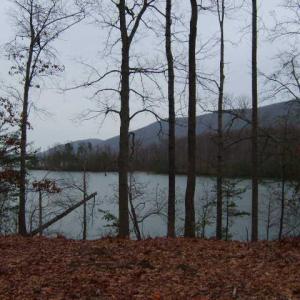 20200730214214198975000000-o