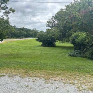 IMG_2448 photo 3