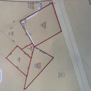 IMG_2457 photo 9