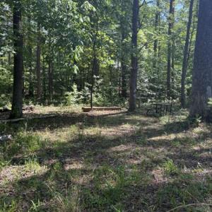 Photo #16 of LOT 2 PLUM TREE CIR, BUMPASS, VA