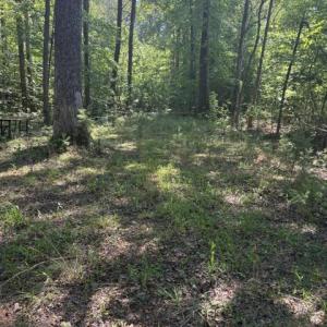 Photo #15 of LOT 2 PLUM TREE CIR, BUMPASS, VA