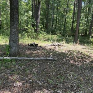 Photo #17 of LOT 2 PLUM TREE CIR, BUMPASS, VA