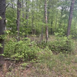 Photo #13 of LOT 2 PLUM TREE CIR, BUMPASS, VA