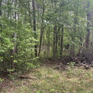 Photo #12 of LOT 2 PLUM TREE CIR, BUMPASS, VA