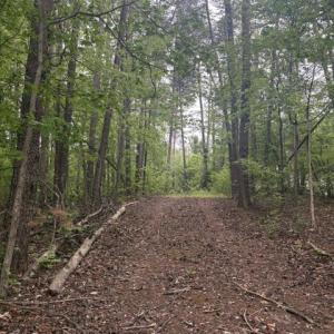 Photo #2 of LOT 2 PLUM TREE CIR, BUMPASS, VA