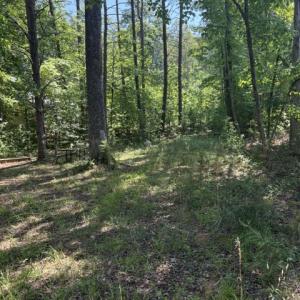 Photo #19 of LOT 2 PLUM TREE CIR, BUMPASS, VA