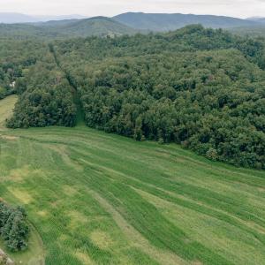 Naff RD 159.847 Acres