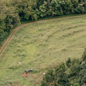 Naff RD 159.847 Acres