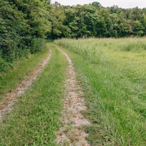 Naff RD 159.847 Acres