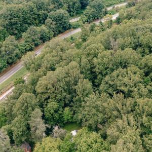 Dunahoo RD 39.421 Acres