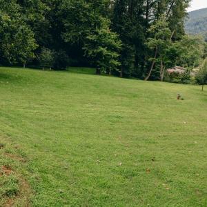 Dunahoo RD 39.421 Acres