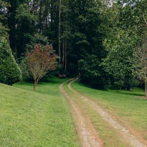 Dunahoo RD 39.421 Acres