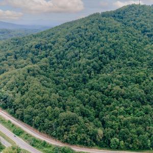 Naff RD 159.847 Acres