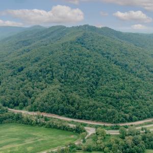 Naff RD 159.847 Acres