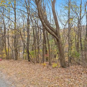 01-Carriage Hills DR_01