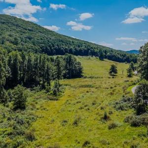 DJI_20250825135400_0388_D