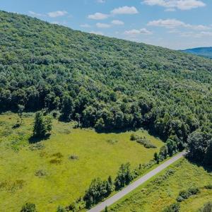 DJI_20250825135615_0396_D