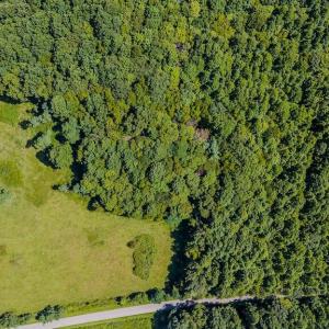 DJI_20250825145529_0439_D