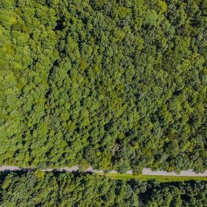 DJI_20250825145401_0436_D