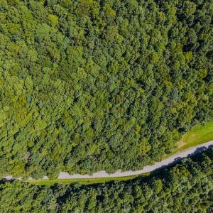 DJI_20250825145250_0433_D