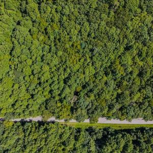 DJI_20250825145502_0438_D