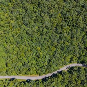DJI_20250825143246_0422_D