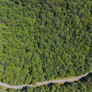 DJI_20250825143300_0424_D