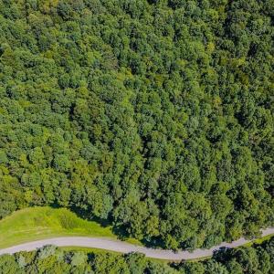 DJI_20250825143316_0425_D