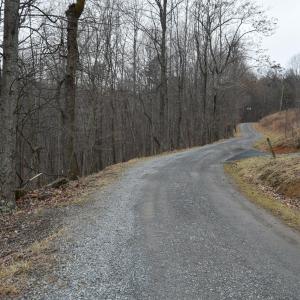 DSC_0682 (1)