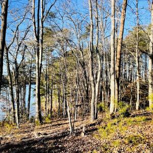 Lot 34 Leesville