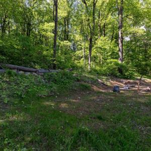 Photo #10 of 1097 BALKAMORE HILL RD, STANLEY, VA 1.2 acres